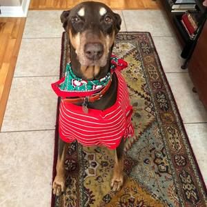 Meet your Posher, Gigi